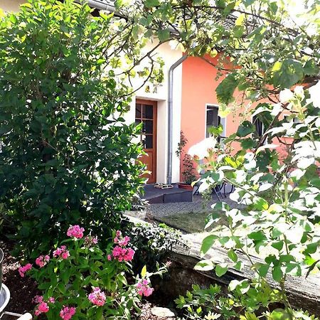 Ferienwohnung Adams Hinterweiler Buitenkant foto